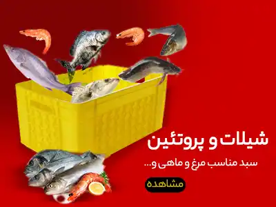 جعبه و سبد شیلات و پروتیین