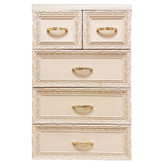 فایل پلاستیکی 5کشو طرح منبت