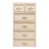 فایل پلاستیکی 6کشو طرح منبت